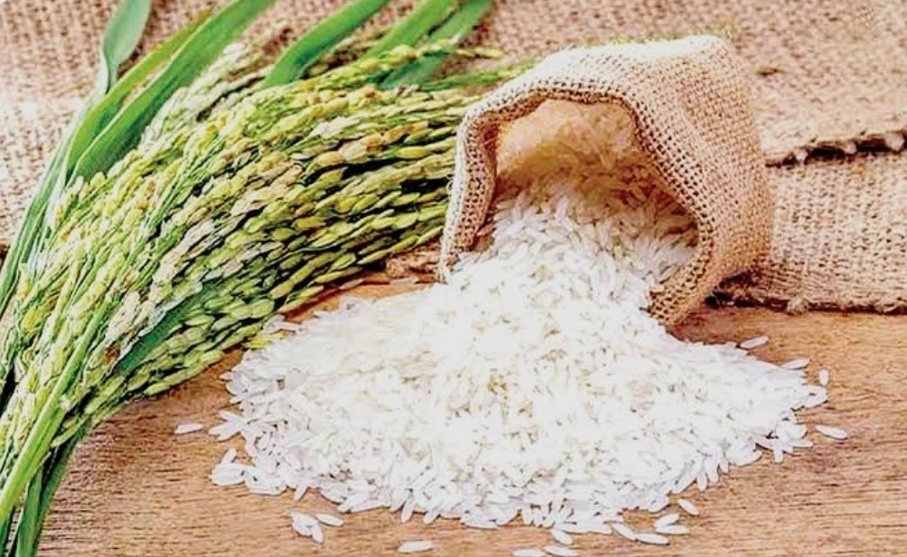 برنج ایرانی طارم اعلا